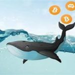 Si bien las alternativas gratuitas brindan un nivel decente de información, requieren más trabajo en términos de encontrar direcciones de ballenas y registrar los datos recopilados.