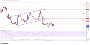 XRP en zona de perdidas